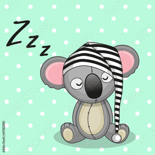 spiaca-koala