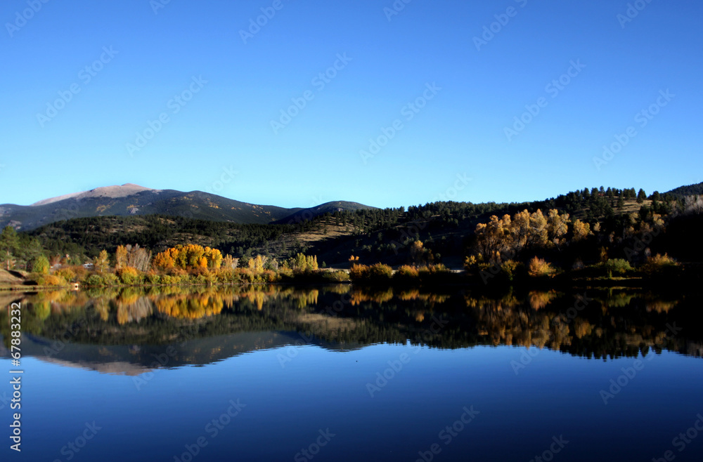 Aspen Tree Reflection in the Lake Aspen Tree Reflection in the Lake