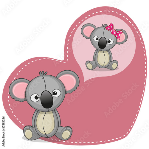 Dreaming Koala