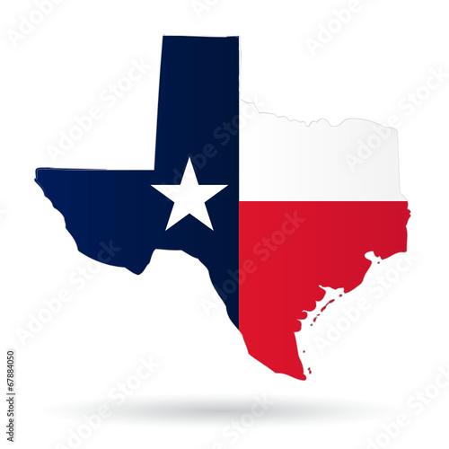 texas american state with flag silhouette