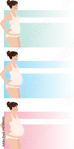 Trimesters of pregnancy