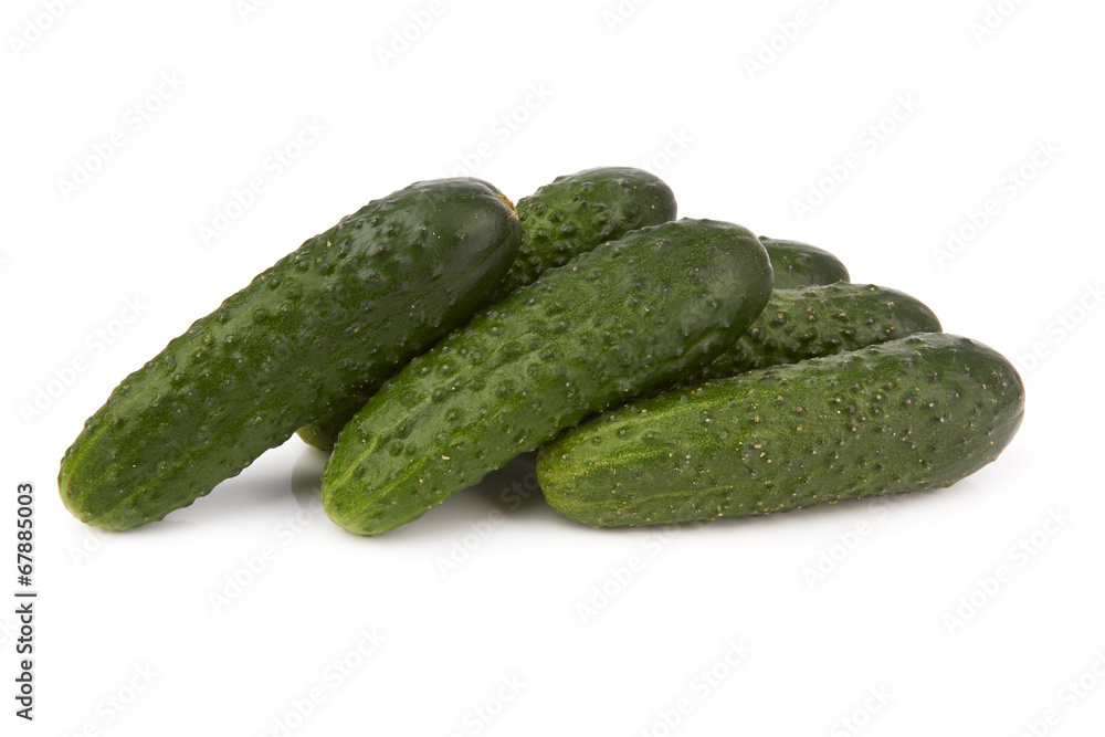 cucumbers cucumbers