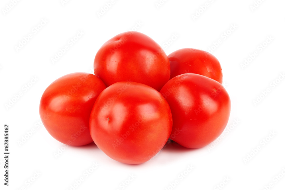 tomatoes tomatoes