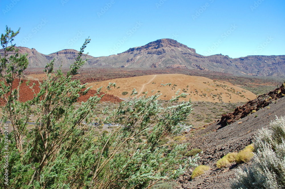 Pustynny krajobraz w parku narodowym teide, teneryfa w Hiszpanii - obrazy, fototapety, plakaty 