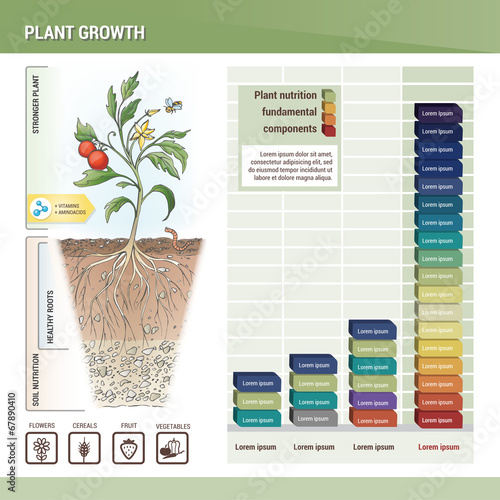 Plant growth