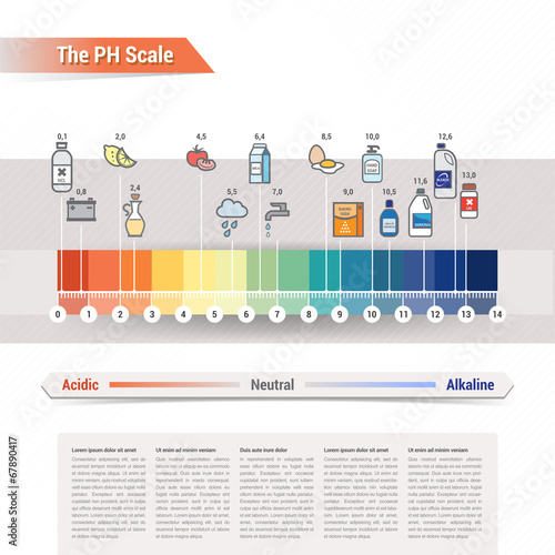 The PH scale
