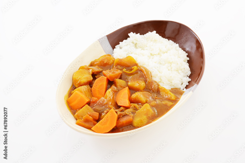 美味しそうなカレーライス 美味しそうなカレーライス