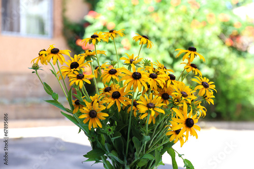 Canvas Print Beautiful Rudbeckia flowers in vase on wooden table, outdoors