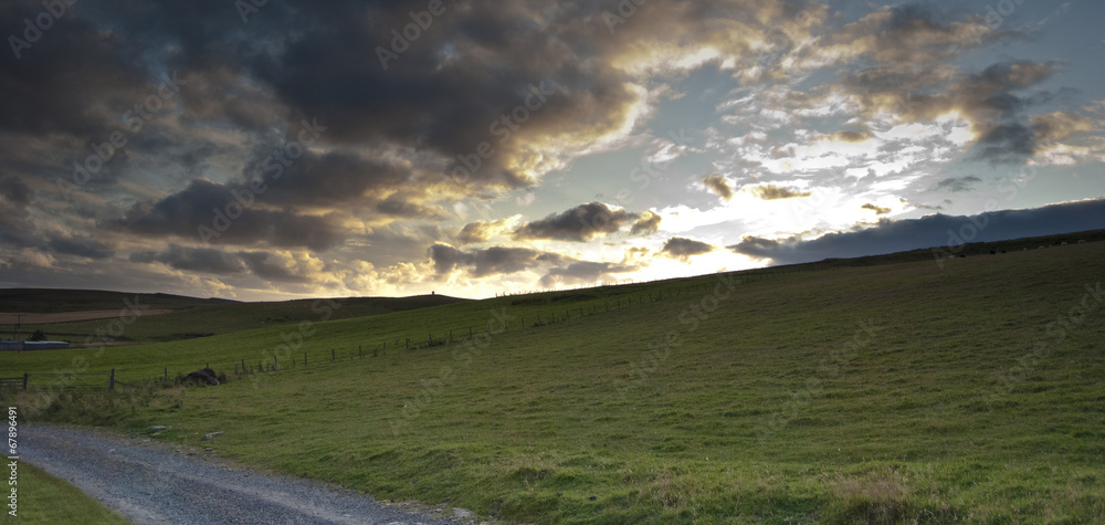 verde collina