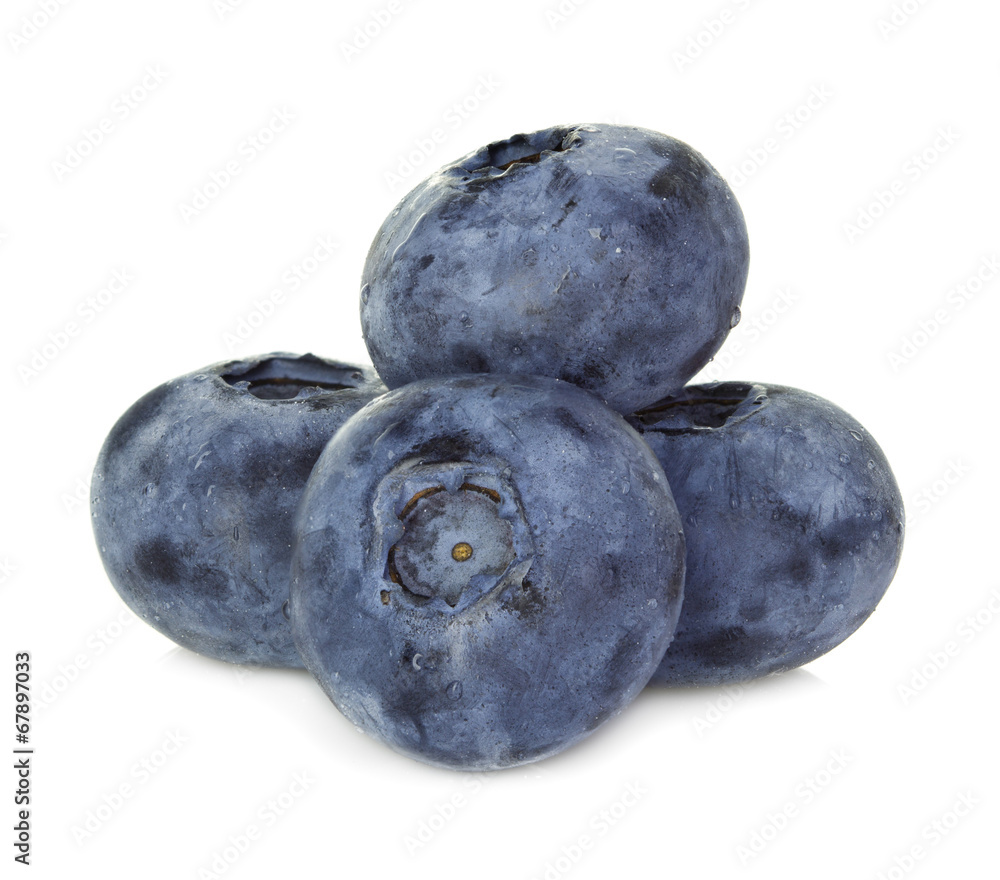 blueberries isolated on white background blueberries isolated on white background