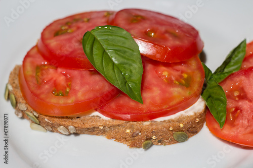 Fresh Tomato Sandwich