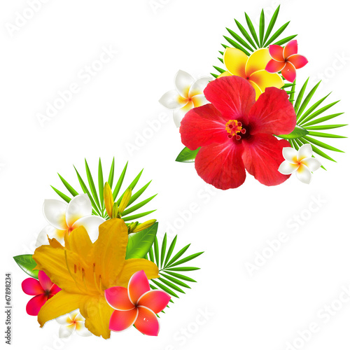 Flowers Set