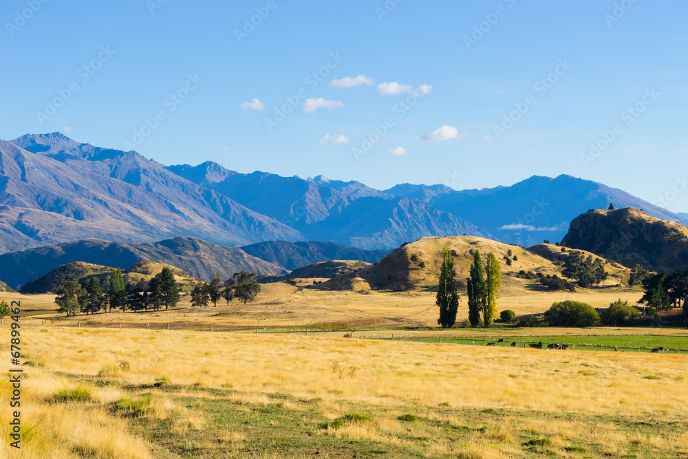 Fototapeta premium Picturesque landscape