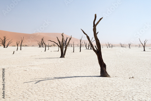 Dead Vlei en Nambie