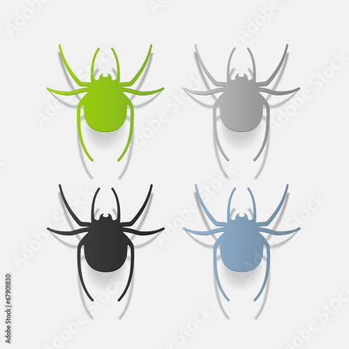 realistic design element: spider