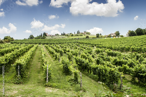 Vigneti sulle colline del Chianti in Toscana