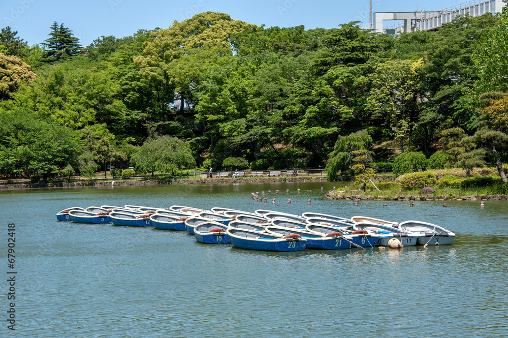 Obraz premium 千葉公園