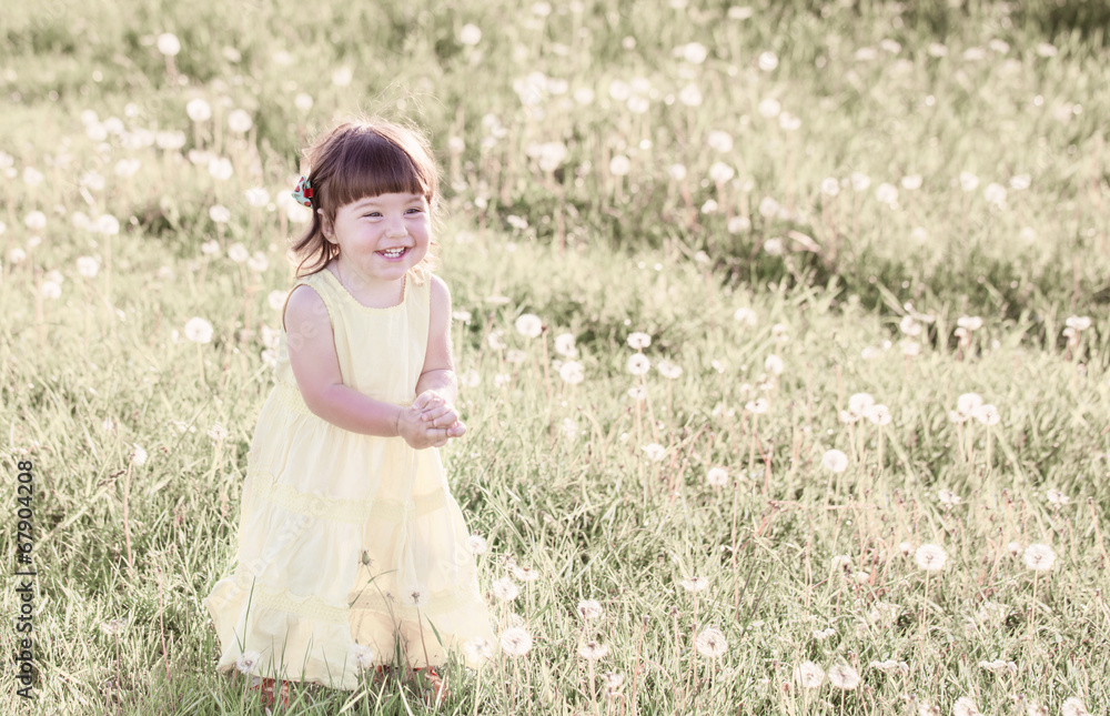 little girl with dandelions little girl with dandelions