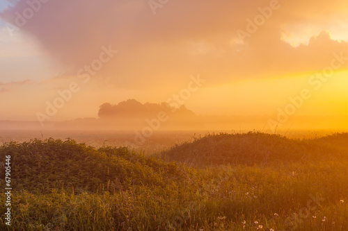 Foggy meadow at sunset © romantsubin