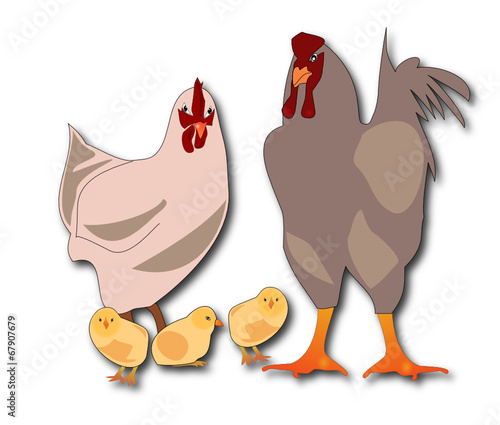 La poule, le coq et les poussins