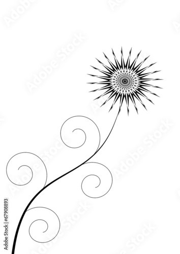 Black flower