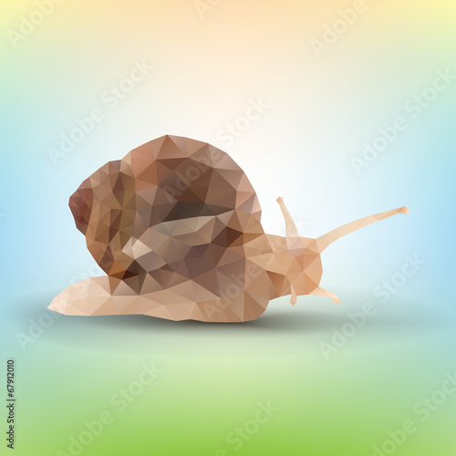 triangle garden snail