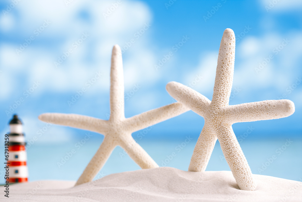 red starfish with ocean, beach, sky and seascape, shallow dof