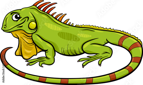 iguana animal cartoon illustration © Igor Zakowski