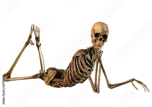 female skeleton with detailed anatomy organs photo