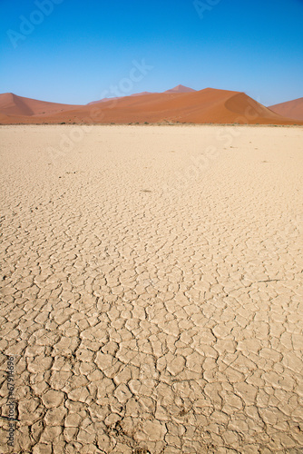 Dans le désert du Namib en Namibie