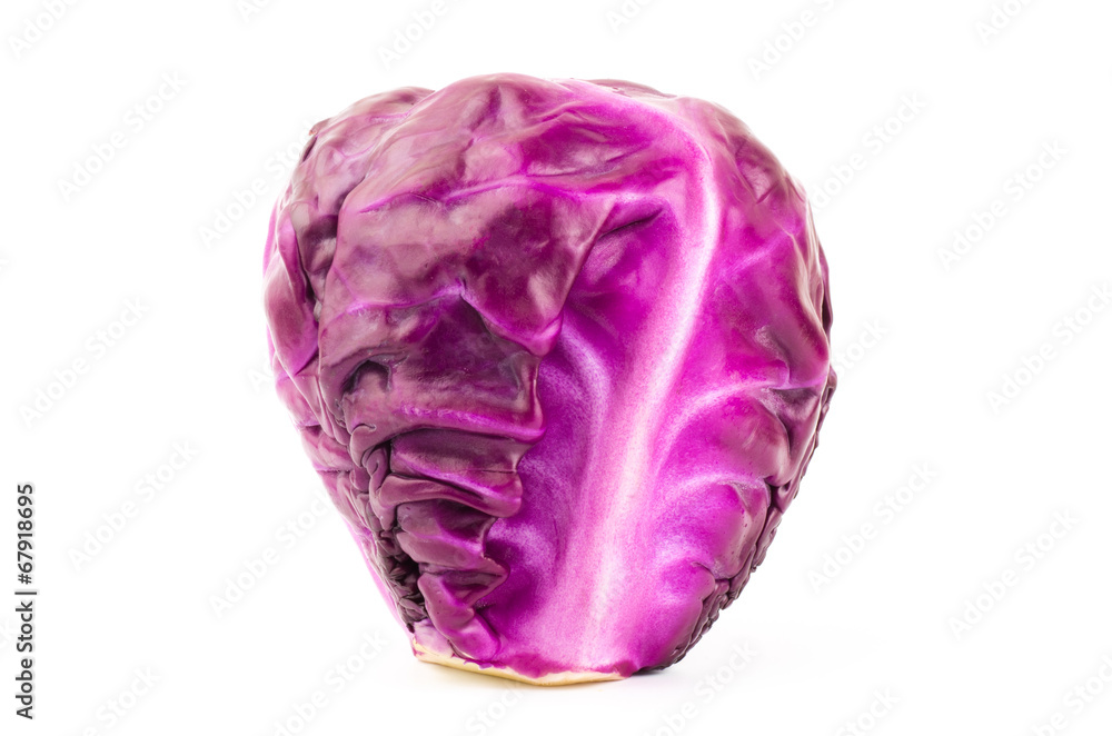 Red cabbage Red cabbage