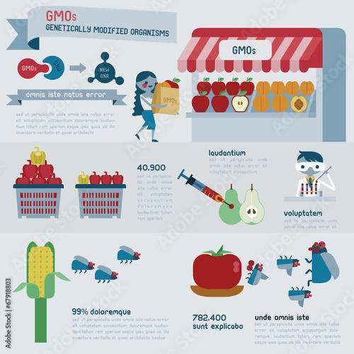 GMOs infographics vector