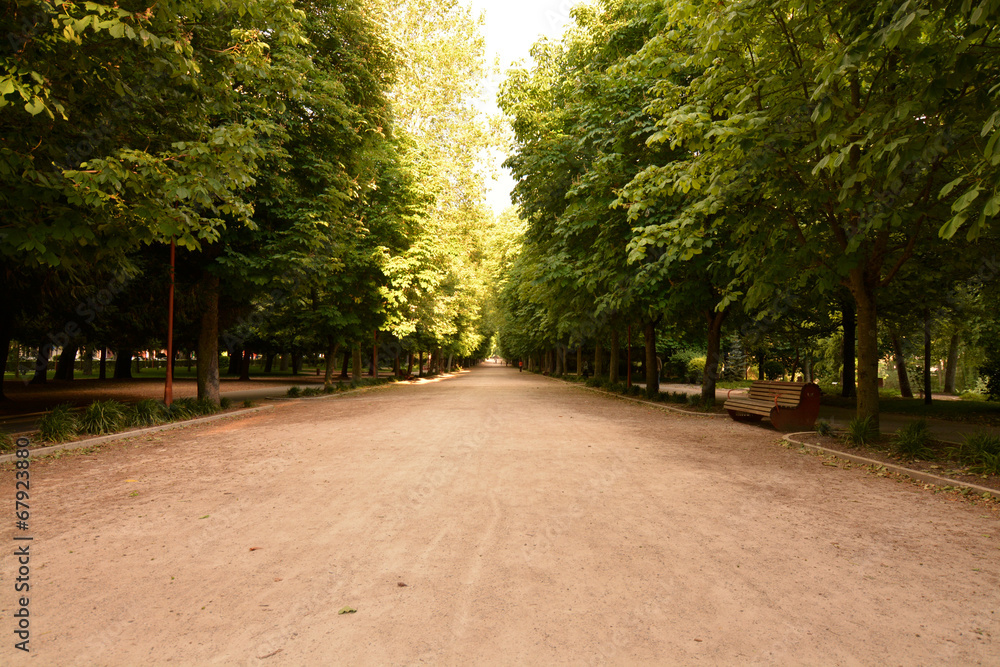 paseo de la isla en burgos