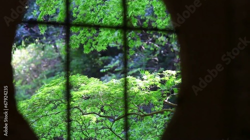 和室の窓から紅葉を望む