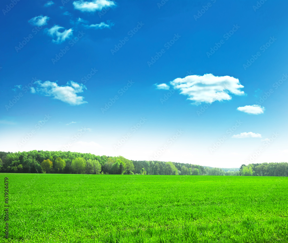 Obraz premium Rural landscape