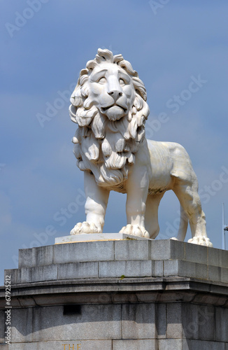 Lion in Trafalgar Square. London.