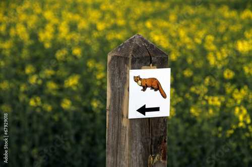 Wegwesier Marderwanderweg Alverdissen photo