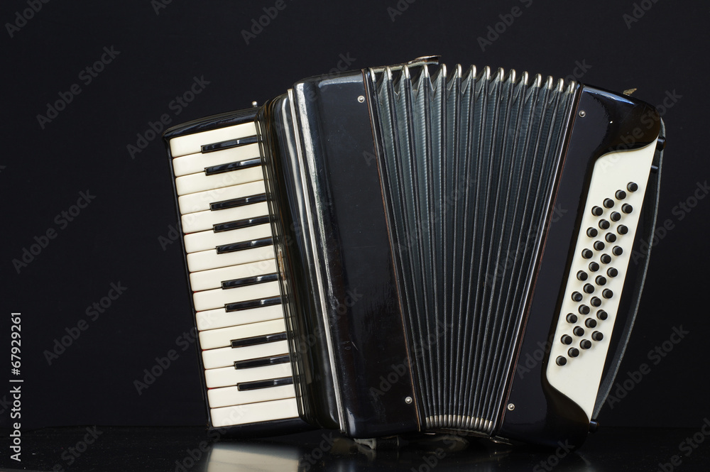 Картината върху платно harmonica accordion