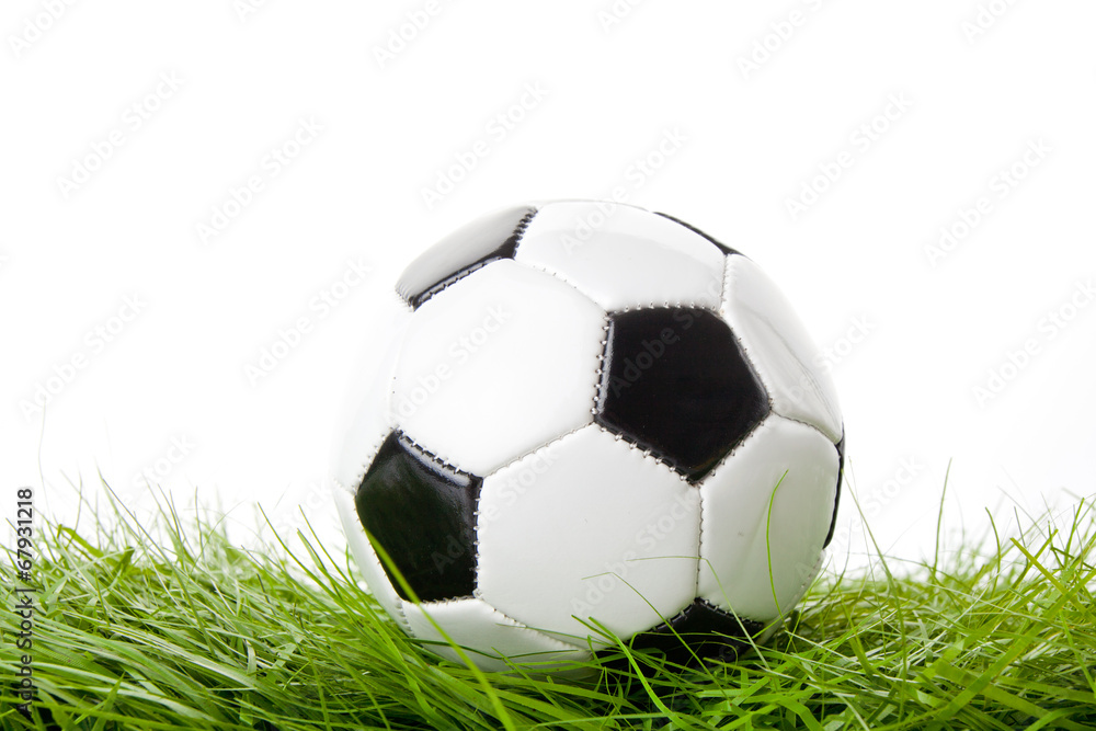 soccer ball on the green field. ball on the grass soccer ball on the green field. ball on the grass