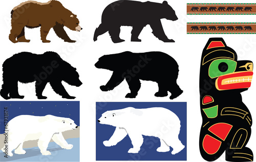bear collection