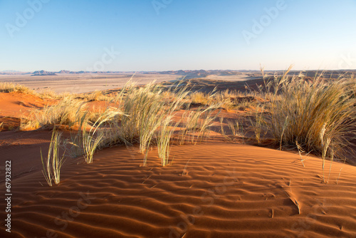 Coucher de soleil sur la dune Elim en Namibie photo