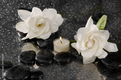 two gardenia flower and candle on pebbles