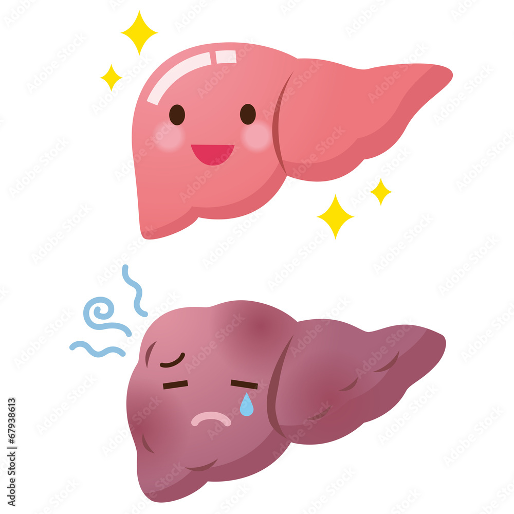 Fototapeta premium 医療 健康 肝臓