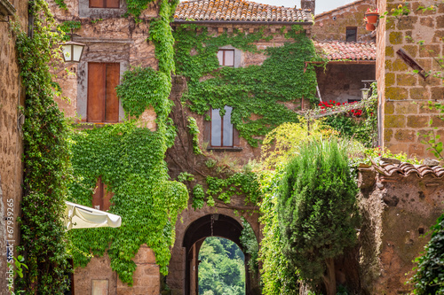 Fototapeta Naklejka Na Ścianę i Meble -  Ancient city overgrown with ivy in Tuscany