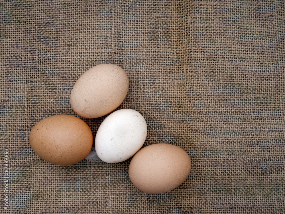 Farm fresh eggs assorted colours, on hessian old rustic fabric Farm fresh eggs assorted colours, on hessian old rustic fabric
