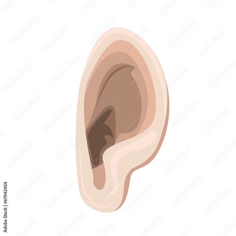 ear vector icon ear vector icon