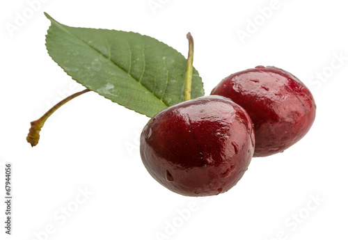 Photography Gean - cherry