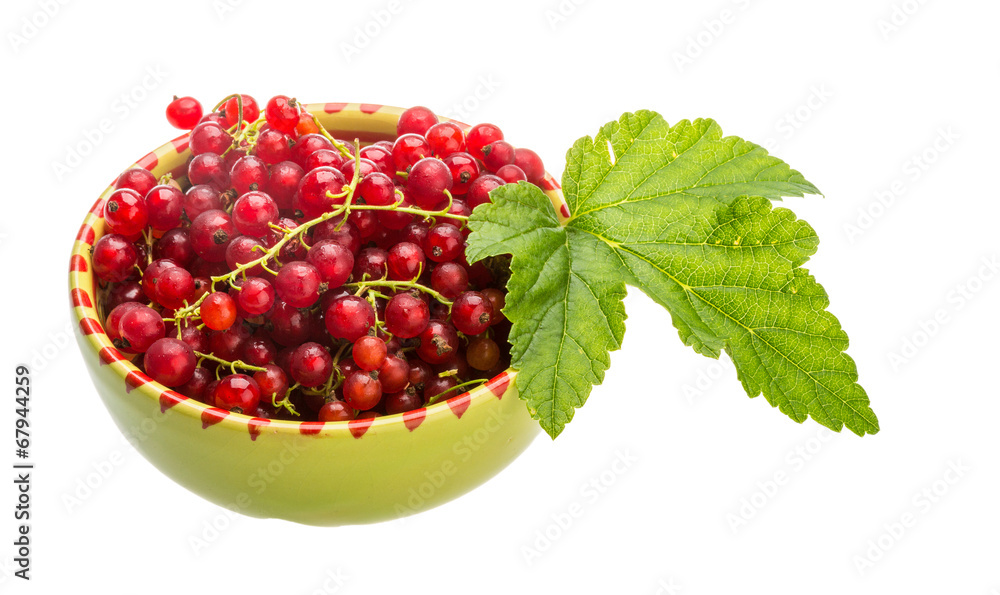 Red currant Red currant