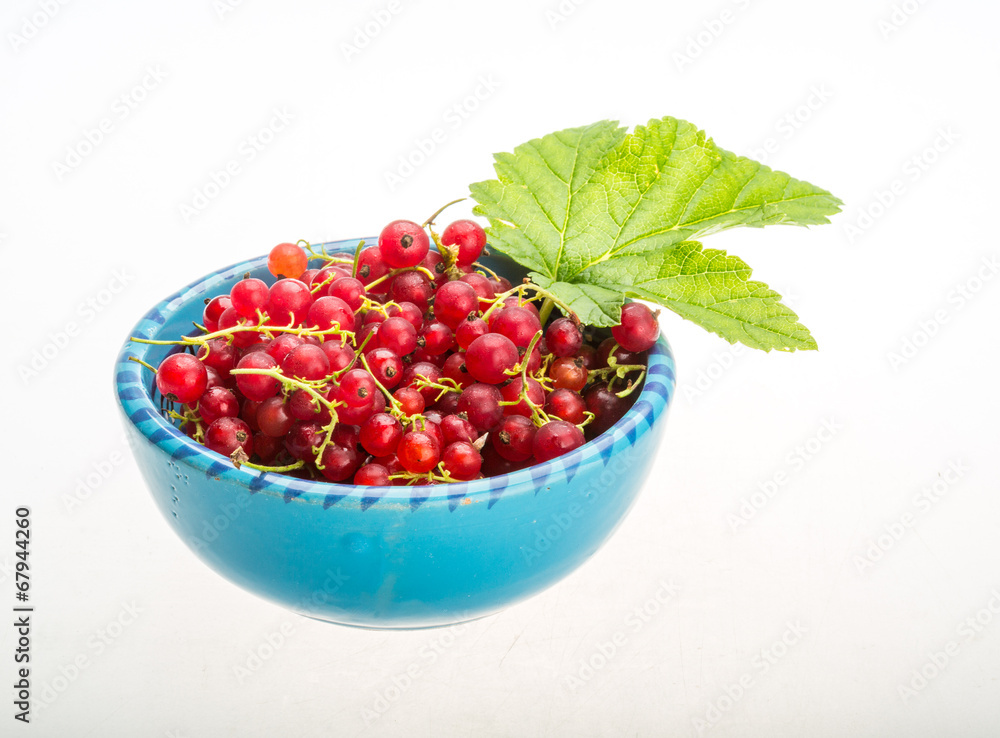Red currant Red currant