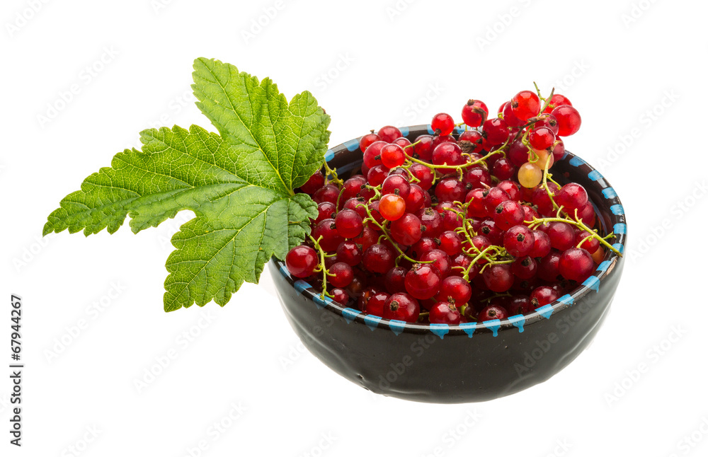 Red currant Red currant